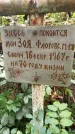 Захоронение ID 1283748