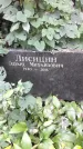 Захоронение ID 1283773