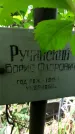 Захоронение ID 1283778