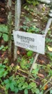 Захоронение ID 1283786
