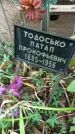 Захоронение ID 1283905