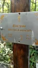 Захоронение ID 1283967