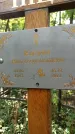 Захоронение ID 1283968