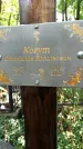 Захоронение ID 1283969