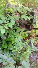 Захоронение ID 1284063