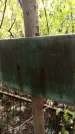 Захоронение ID 1284172