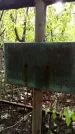 Захоронение ID 1284173