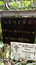 Захоронение ID 1284180
