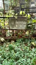 Захоронение ID 1284184