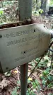 Захоронение ID 1284215