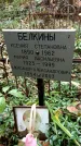 Захоронение ID 1284219