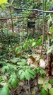Захоронение ID 1284225