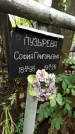 Захоронение ID 1284240