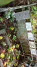 Захоронение ID 1284246