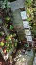 Захоронение ID 1284249