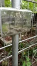 Захоронение ID 1284257