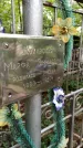 Захоронение ID 1284259