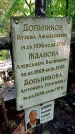 Захоронение ID 1284288
