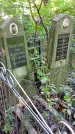 Захоронение ID 1284300