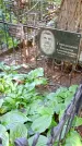 Захоронение ID 1284309