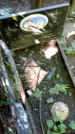 Захоронение ID 1284312