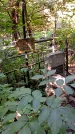 Захоронение ID 1284321