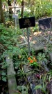 Захоронение ID 1284323