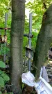 Захоронение ID 1284326