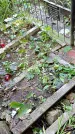 Захоронение ID 1284334