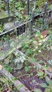 Захоронение ID 1284336
