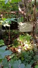 Захоронение ID 1284375