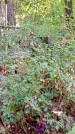 Захоронение ID 1284396