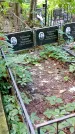 Захоронение ID 1284462