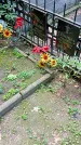 Захоронение ID 1284470