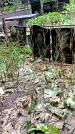 Захоронение ID 1284474