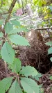 Захоронение ID 1284481