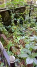Захоронение ID 1284482