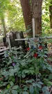 Захоронение ID 1284511