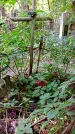 Захоронение ID 1284555