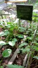 Захоронение ID 1284556