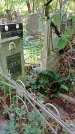 Захоронение ID 1284637