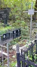 Захоронение ID 1284706