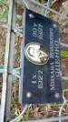Захоронение ID 1284724