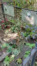 Захоронение ID 1284736
