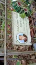 Захоронение ID 1284743