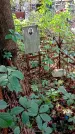 Захоронение ID 1284811