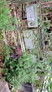Захоронение ID 1284838
