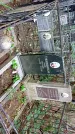 Захоронение ID 1284846