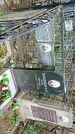 Захоронение ID 1284849