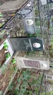 Захоронение ID 1284850